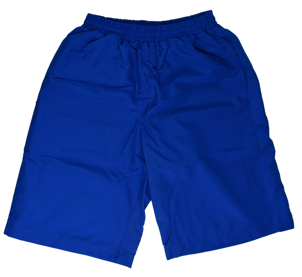 Russian Army Shorts Blue White Line